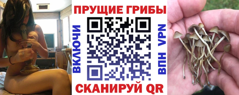 цены наркотик  Мариинск  Галлюциногенные грибы MAGIC MUSHROOMS 